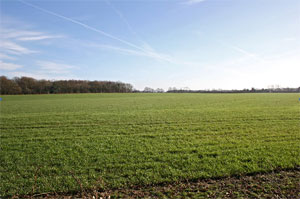 donate for farmland in Africa